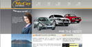 McCoy Car Rental